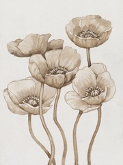 Poppies in Sepia I