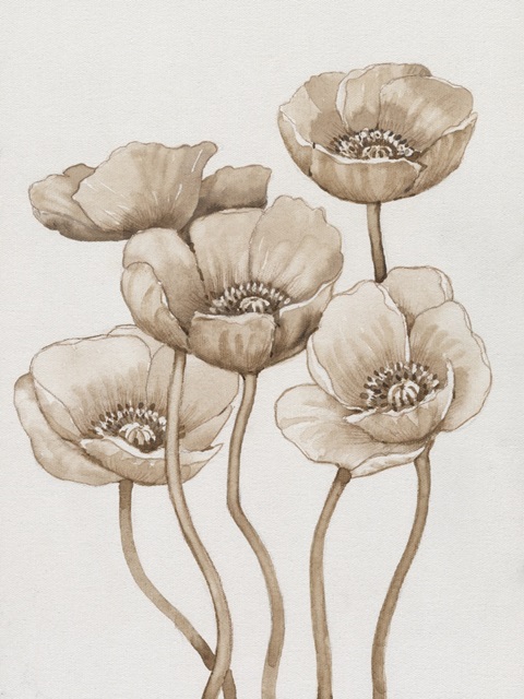 Poppies in Sepia I