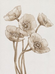 Poppies in Sepia II