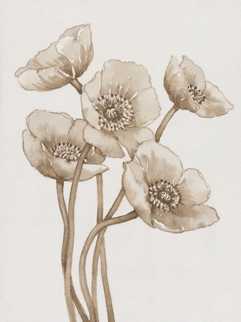 Poppies in Sepia II
