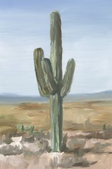 Saguaro Cactus Study I