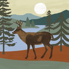 Trailside Animals IV