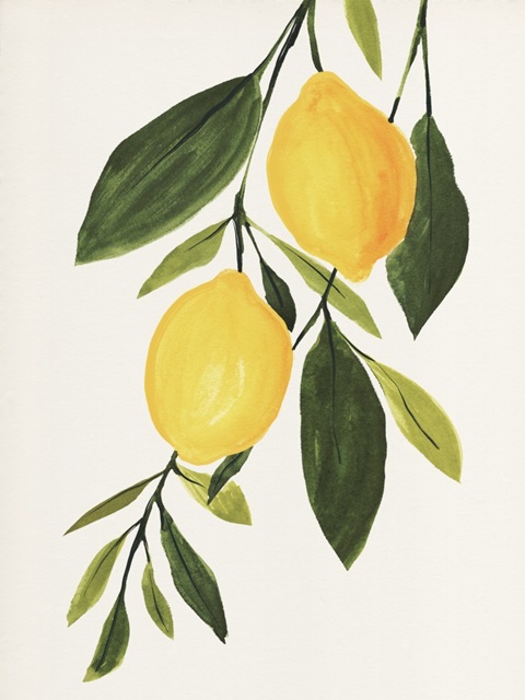 Lemon Branch I