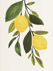 Lemon Branch II
