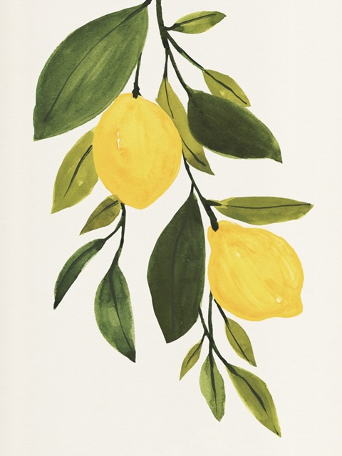 Lemon Branch II