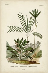 Antique Palm Collection I