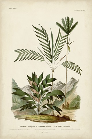 Antique Palm Collection I