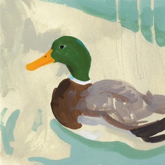 Bathing Mallard II