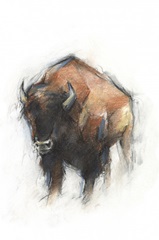 Sienna Animal Study I