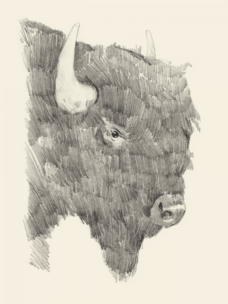Domestic buffalo Cut Out Stock Images & Pictures - Alamy