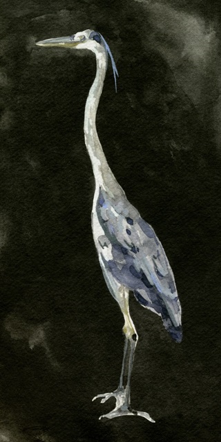 Ebony Egret I