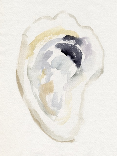 Oyster Shell Watercolor I