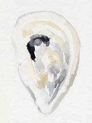 Oyster Shell Watercolor II