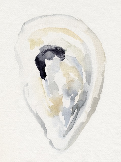 Oyster Shell Watercolor II