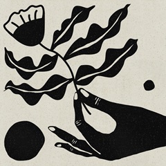 The Sun and Her Flower I