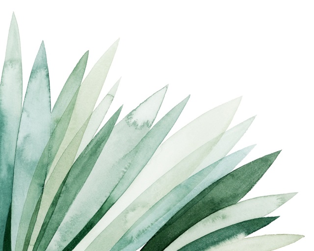 Watercolor Plume II