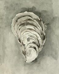 Neutral Oyster Shell II