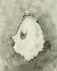 Neutral Oyster Shell III