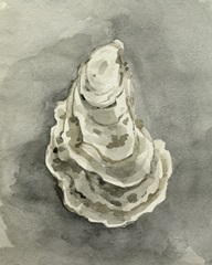 Neutral Oyster Shell IV
