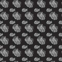 B&W Indoor Plant Collection G