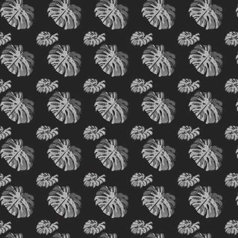 B&W Indoor Plant Collection G