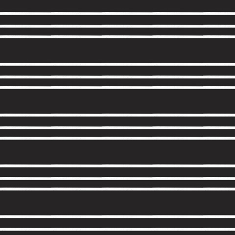 B&W Indoor Plant Collection I