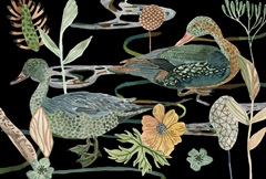 Duck in River Collection A