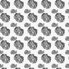 B&W Indoor Plant Collection F