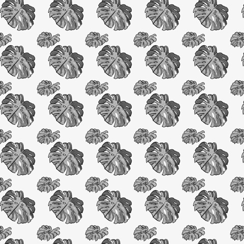 B&W Indoor Plant Collection F