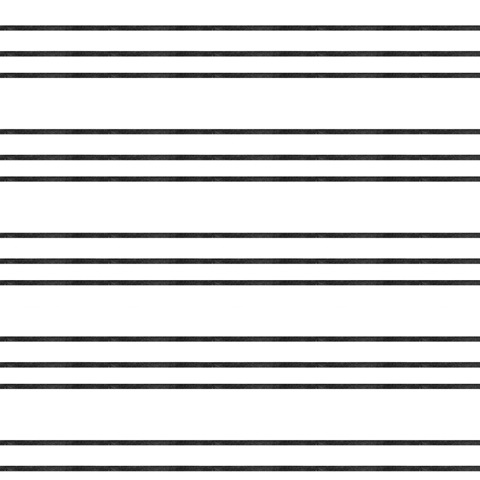 B&W Indoor Plant Collection H