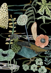 Duck in River Collection B