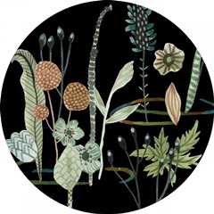 Duck in River Collection C