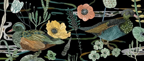 Duck in River Collection D