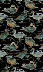 Duck in River Collection E