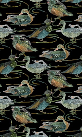 Duck in River Collection E