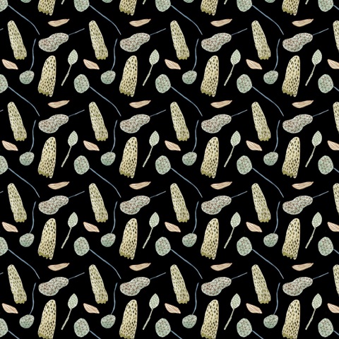 Duck in River Collection F