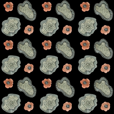 Duck in River Collection H