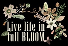 Sweet Fest Collection A