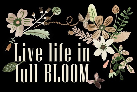 Sweet Fest Collection A