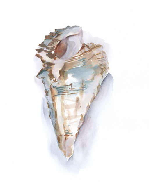 Pastel Shell Collection IV