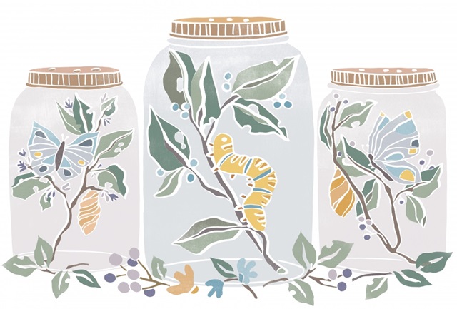 Nature Jar Collection A