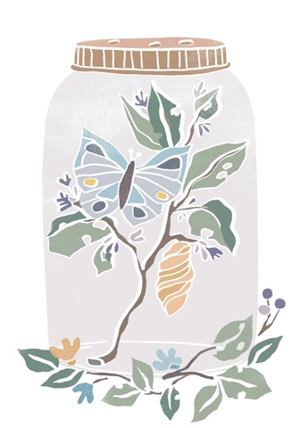 Nature Jar Collection B