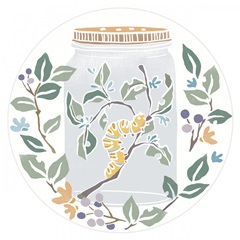 Nature Jar Collection C