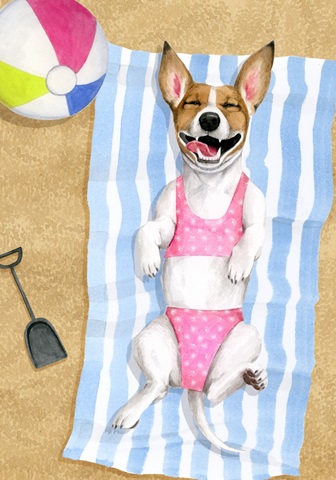 Sun Lovin' Pups Collection B