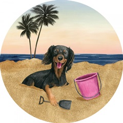 Sun Lovin' Pups Collection C