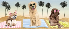Sun Lovin' Pups Collection D
