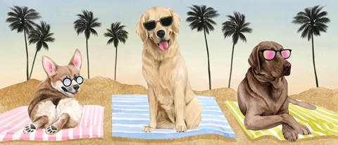 Sun Lovin' Pups Collection D