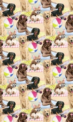 Sun Lovin' Pups Collection E