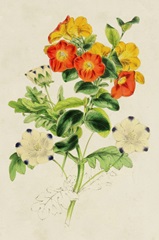 Paxton Botanical Pairing II