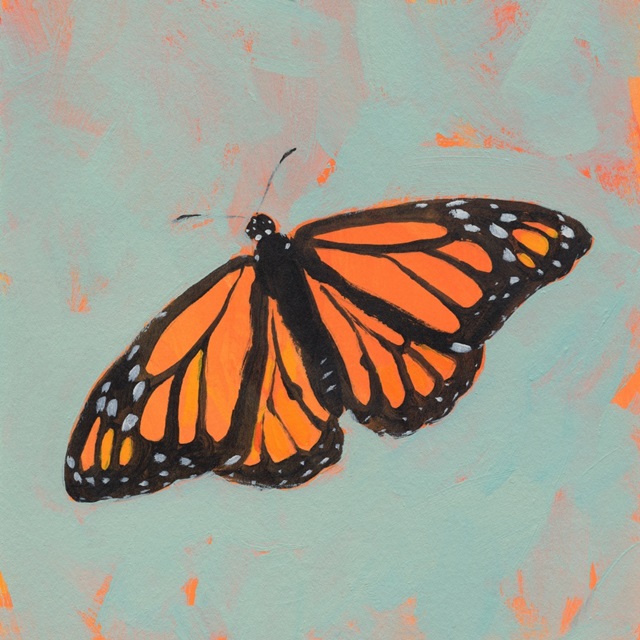 Light Monarch II